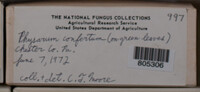 Image Associated With the Occurence